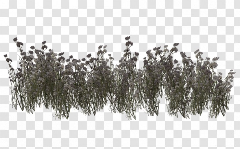 Grassland Vegetation Plant Biome - Grass Transparent PNG