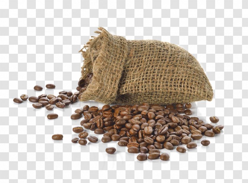 Arabica Coffee Bean Food - Shutterstock - Beans Element Transparent PNG