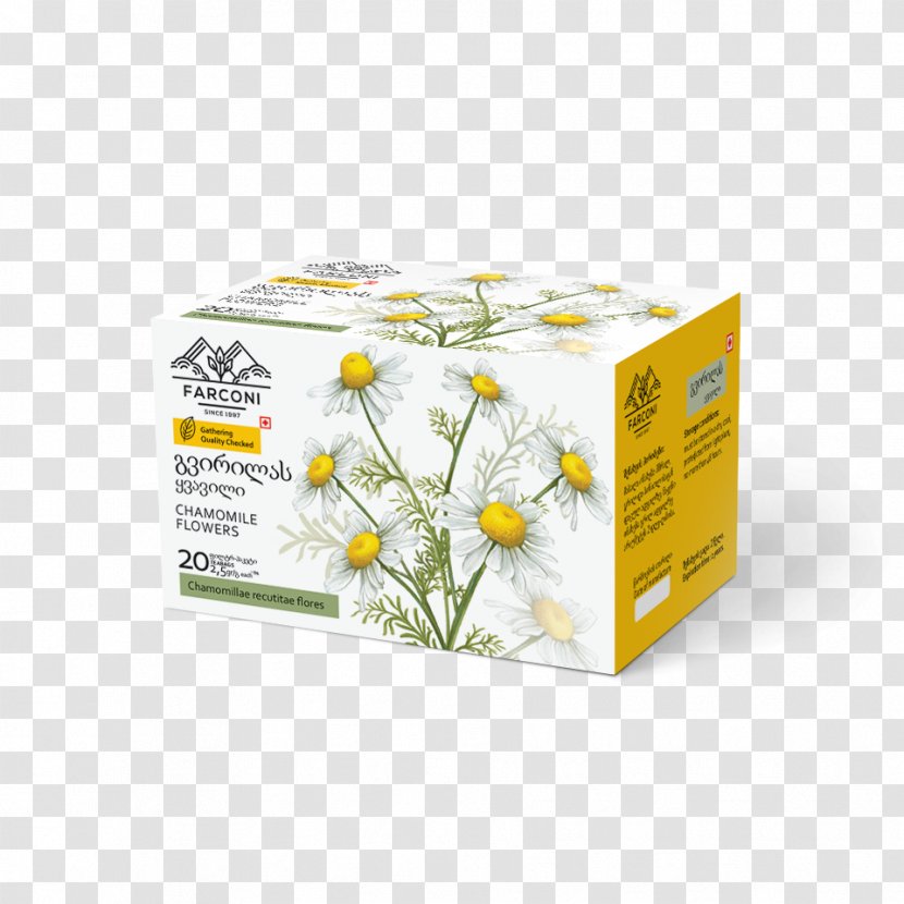 Flower Plant - Yellow - Chamomile Transparent PNG