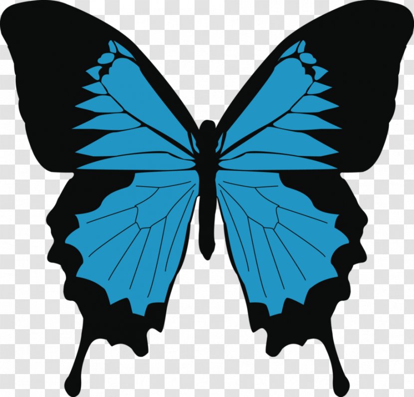 Monarch Butterfly Papilio Ulysses Swallowtail Drawing - Moths And Butterflies - Blue Transparent PNG