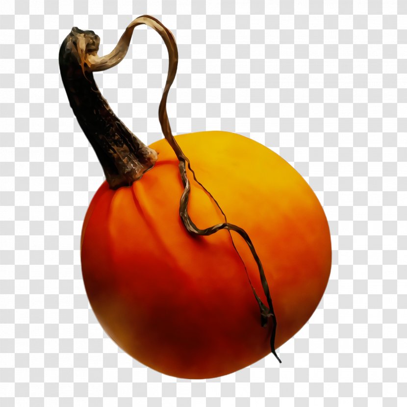 Orange - Calabaza - Gourd Fruit Transparent PNG