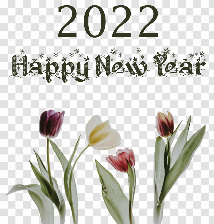 2022 Happy New Year 2022 New Year 2022 Transparent PNG