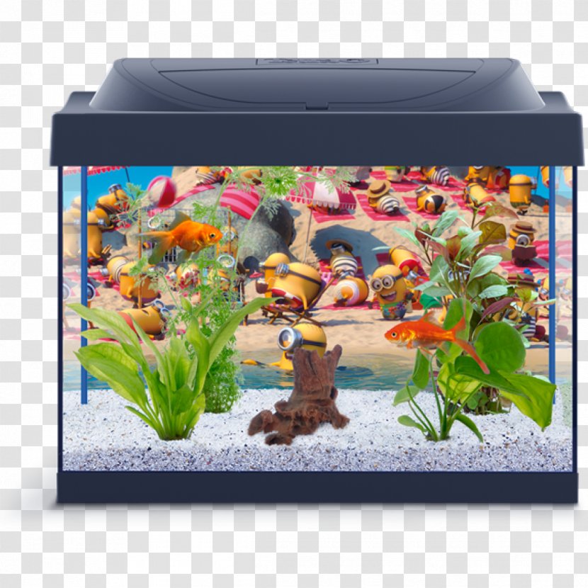 Aquariums Tetra Fishkeeping Heater - Aquarium Transparent PNG