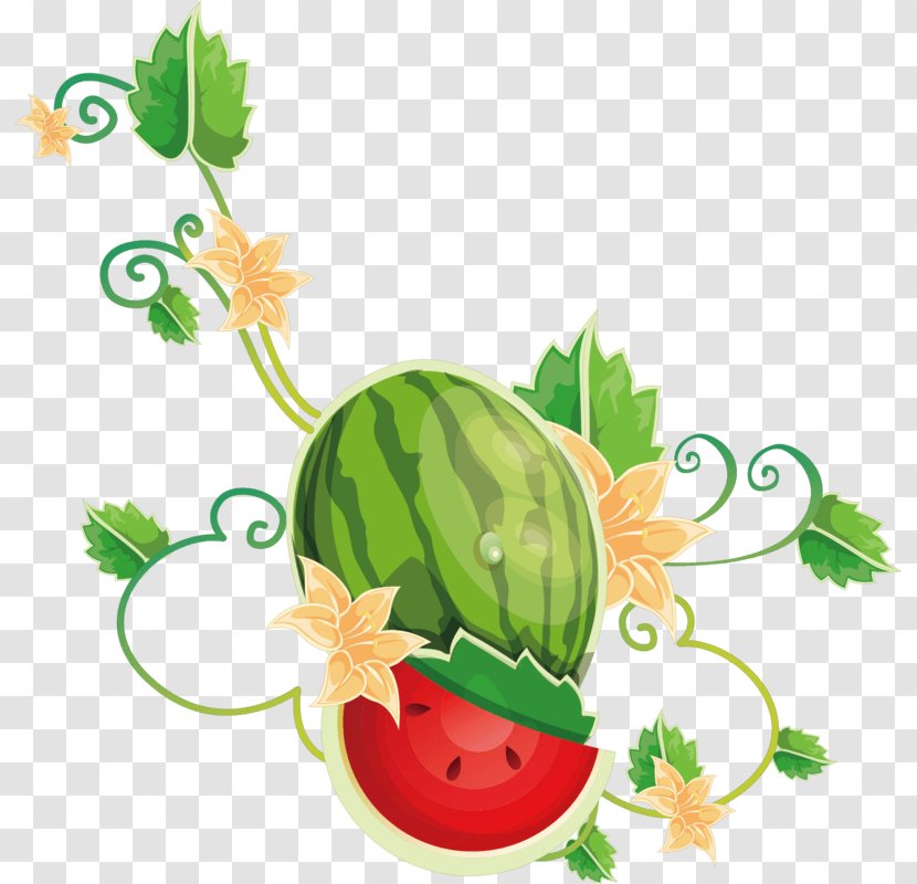 Watermelon Bougainvillea Spectabilis Clip Art Illustration - Flowering Plant - Anguria Button Transparent PNG