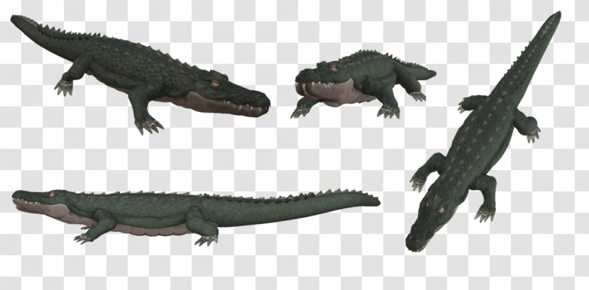 Tyrannosaurus Crocodiles Alligator Saltwater Crocodile - Amphibian Transparent PNG