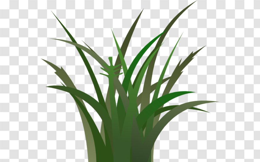 Cartoon Lawn Clip Art - Comics - Painted Grass Transparent PNG