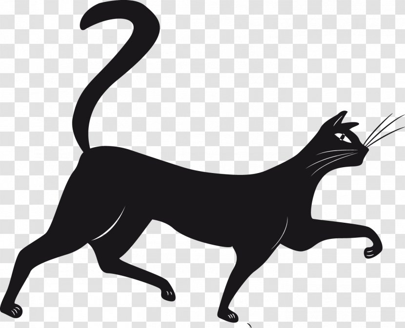 Black Cat Vector Graphics Drawing Royalty-free - Carnivoran Transparent PNG