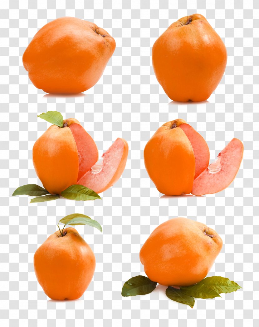 Clementine Mandarin Orange Fruit Auglis Apple - Habanero Chili - Leaf Transparent PNG
