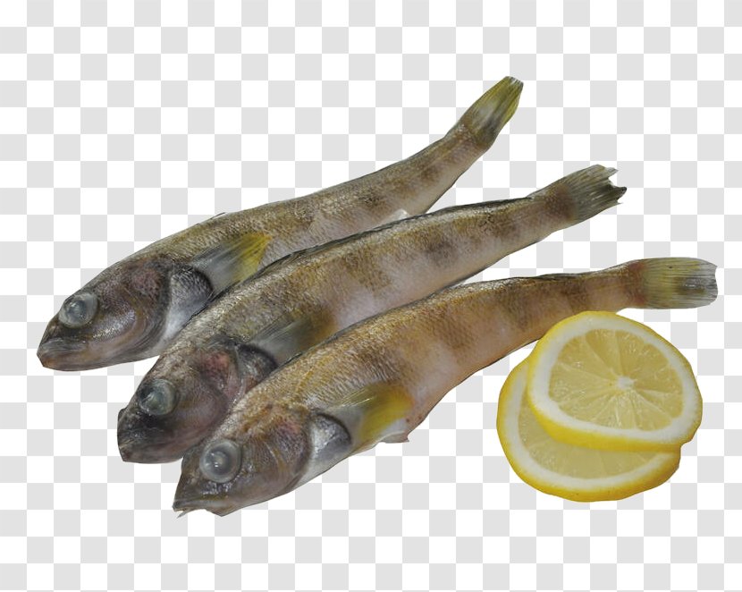 Fish Capelin - Herring - Ice Lemon Transparent PNG