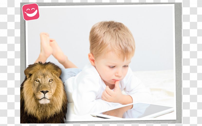 Stock Photography Jigsaw Wildlife Photo Puzzle Royalty-free Child - Royalty Payment - Port In Crossword Clue Transparent PNG