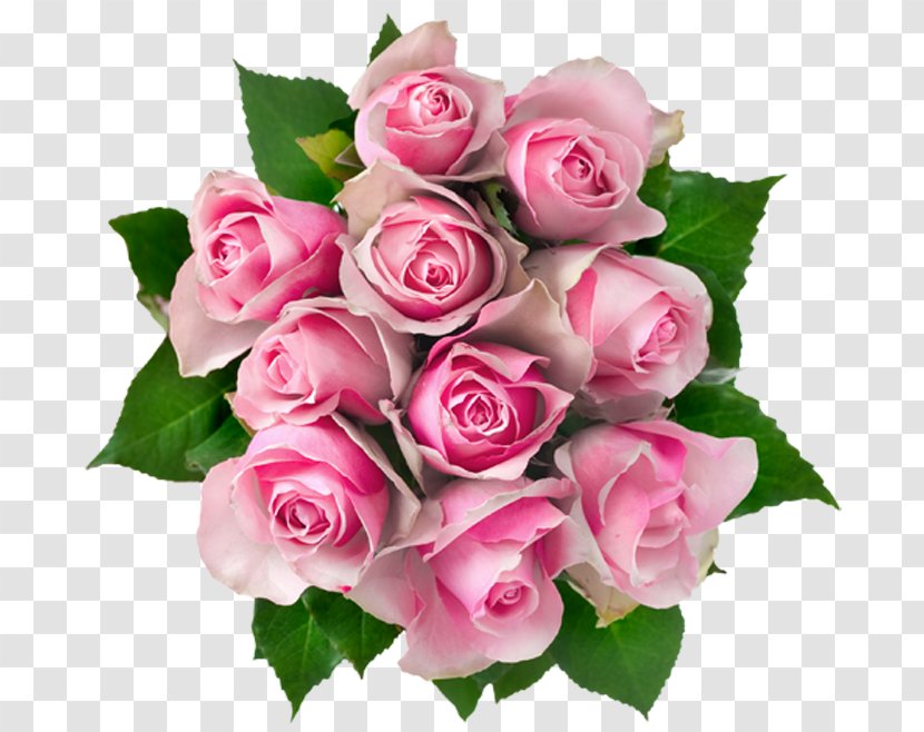Flower Bouquet Rose Pink Clip Art - Plant Transparent PNG