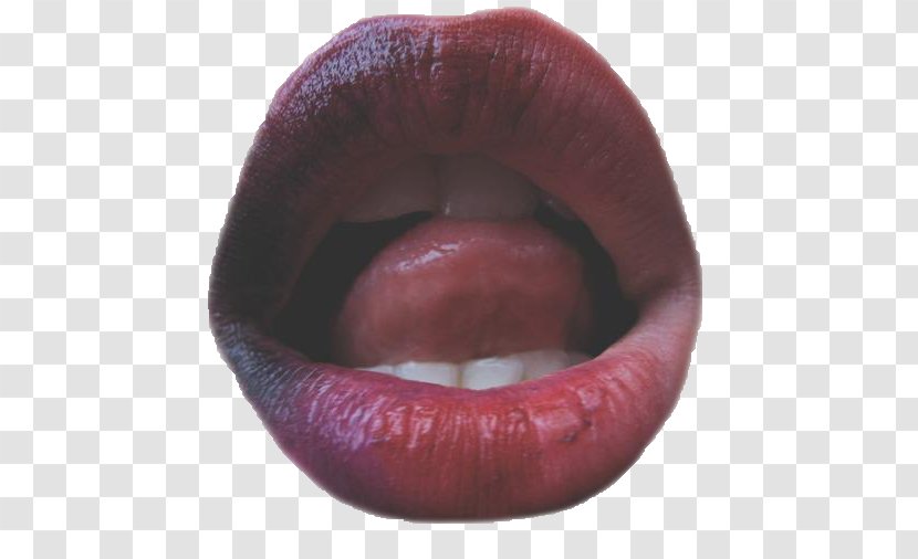 Lip Tongue Heather Chandler Mouth - Photography Transparent PNG