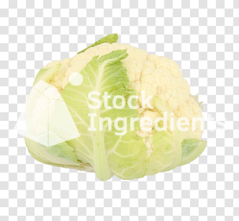 Cruciferous Vegetables Leaf Vegetable Cabbage - Cauliflower Transparent PNG