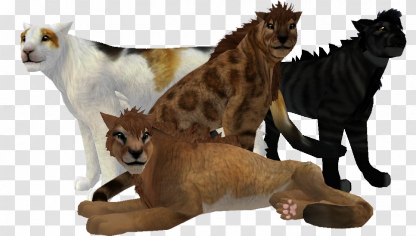Cat Mammal Terrestrial Animal Carnivora - Puma - Irregular Background Shading Transparent PNG