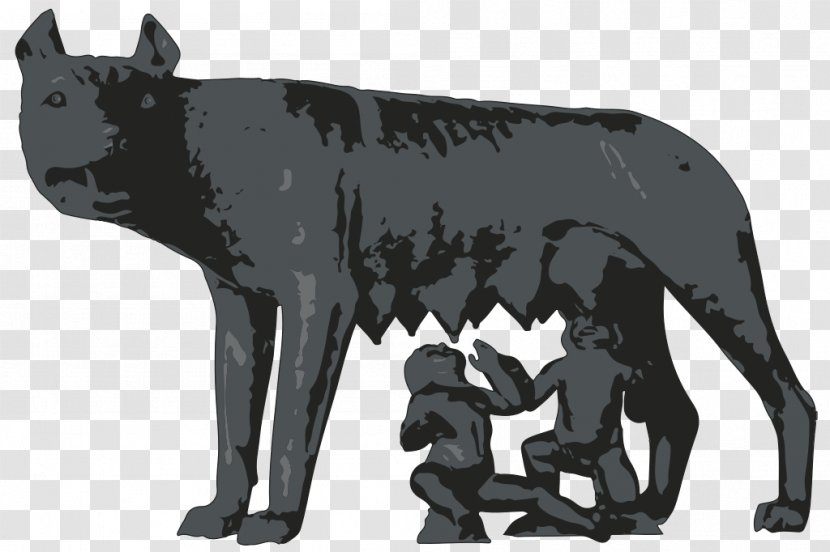 Capitoline Museums Wolf Ancient Rome Gray Romulus And Remus Transparent PNG