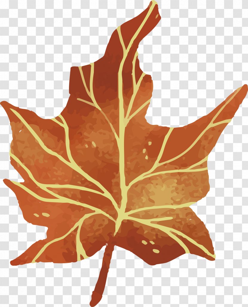 Leaf Euclidean Vector - Maple - Autumn Leaves Transparent PNG