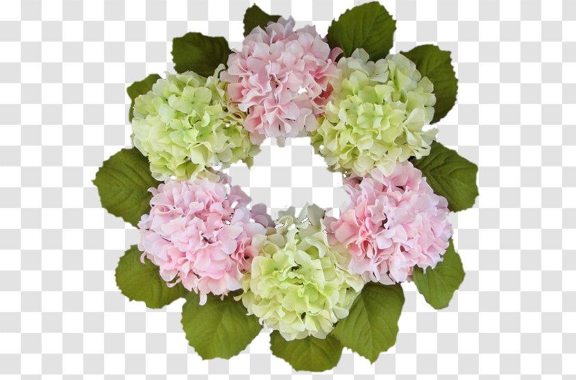 Hydrangea Cut Flowers Floral Design Petal - Flower Transparent PNG