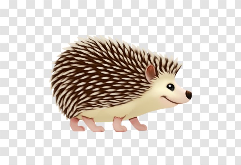 Domesticated Hedgehog - Animal Figure New World Porcupine Transparent PNG