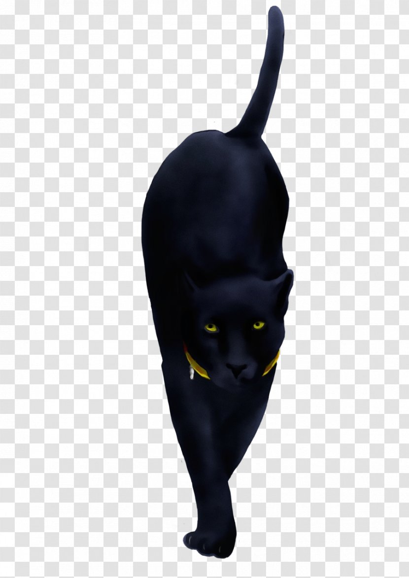 Black Cat Head Yellow Bombay - Snout - Ear Small To Mediumsized Cats Transparent PNG