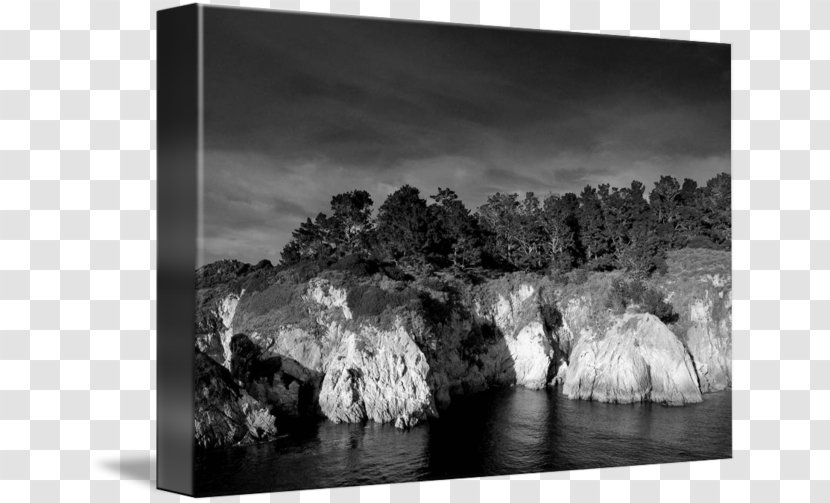 Still Life Photography Picture Frames Stock - Sky - Tree Transparent PNG