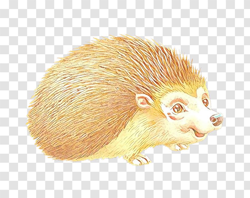 Hedgehog Porcupine New World Erinaceidae Domesticated Transparent PNG