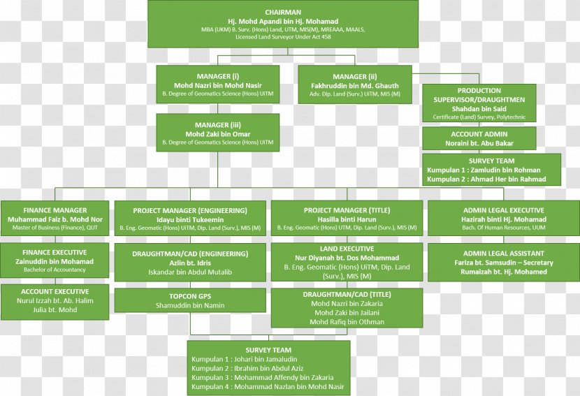 Organizational Structure Chart Surveyor - Brand - Business Transparent PNG