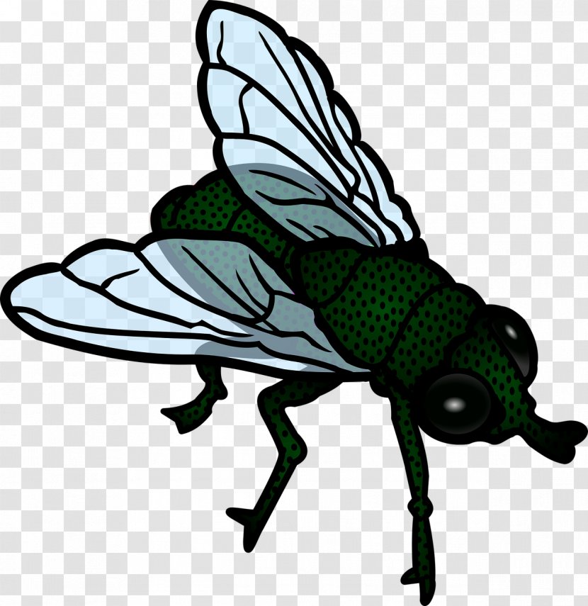 Flight Fly Clip Art - Drawing - Green Flies Transparent PNG