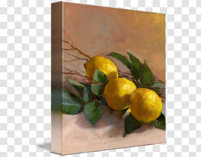 Lemon Watercolor Painting Still Life Art - Branch - Leaves Transparent PNG