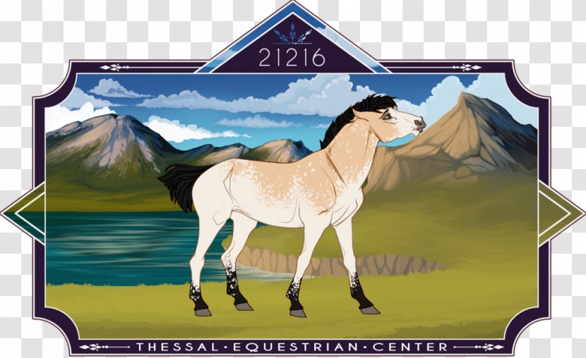 Stallion Mustang Pony Mare Foal - Stealing Lunch Money Transparent PNG