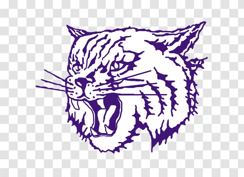 Thornton Township High School Whiskers National Secondary Tinley Park Flossmoor - Small To Medium Sized Cats Transparent PNG