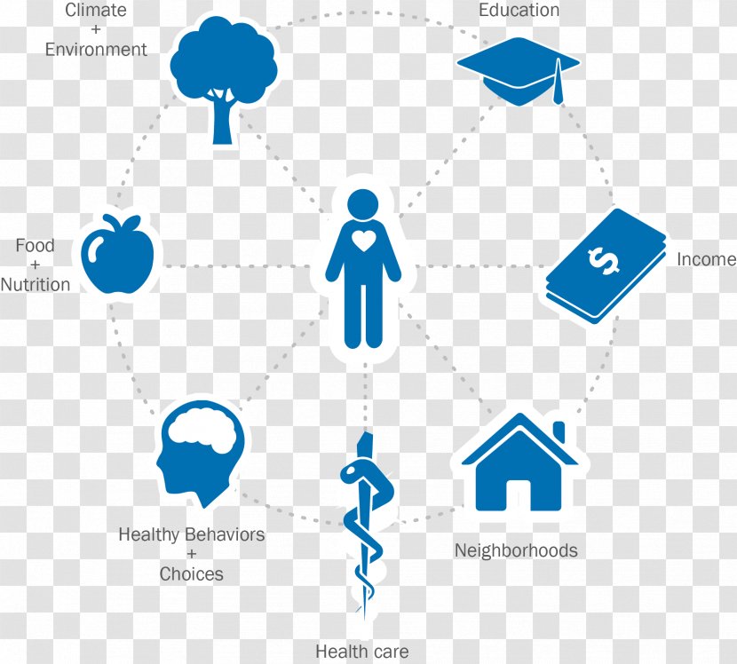 American Public Health Association Care Social Determinants Of - Vitamin - Data Analysis Transparent PNG