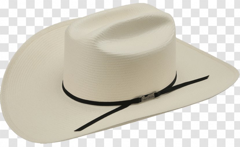 Straw Hat Color - America Transparent PNG