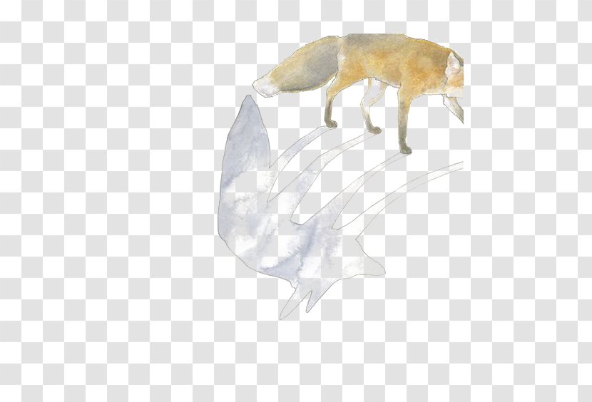 Arctic Wolf Canidae African Wild Dog Illustration Transparent PNG