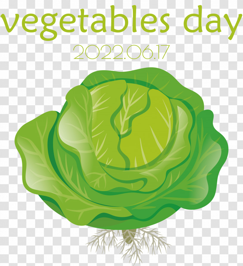 Cauliflower Transparent PNG