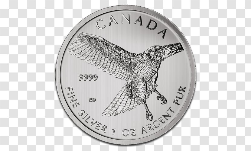 Bird Canada Royal Canadian Mint Silver Coin - Red Tailed Hawk Transparent PNG