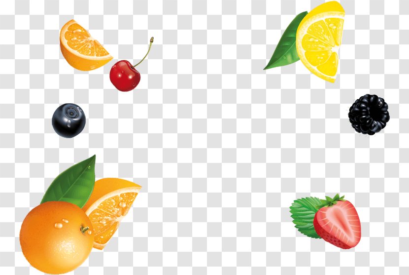 Vegetarian Cuisine Food Garnish Lemon Fruit - Wow Transparent PNG