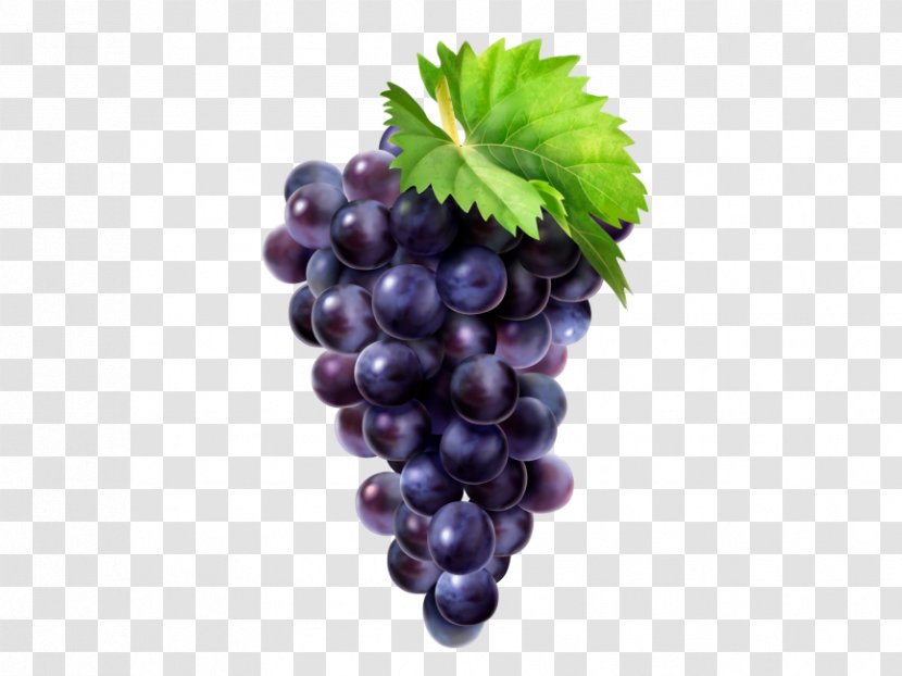 Common Grape Vine Zante Currant Minnesota 78 - Plant Transparent PNG