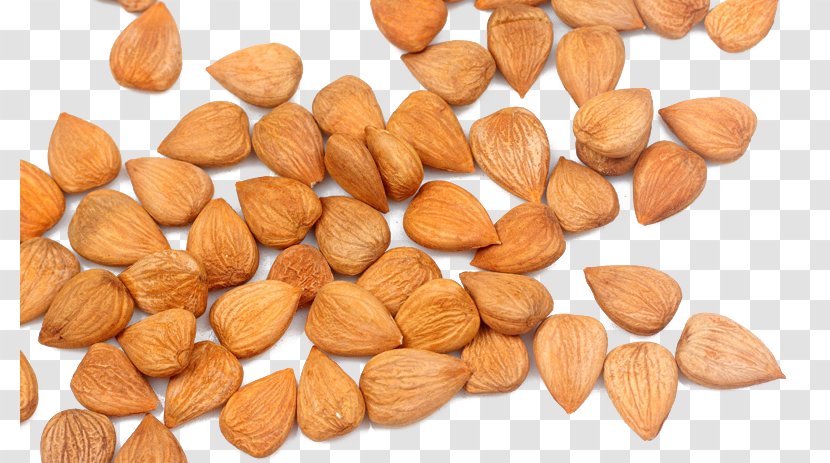 Hazelnut Almond Apricot - Peanut - And Spilled Almonds Transparent PNG