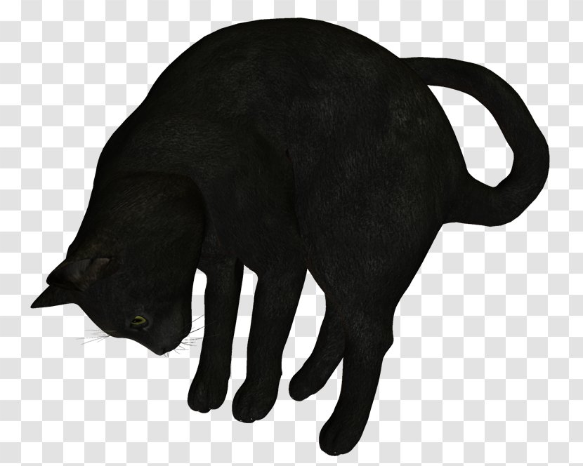Black Cat Clip Art - Photoscape Transparent PNG