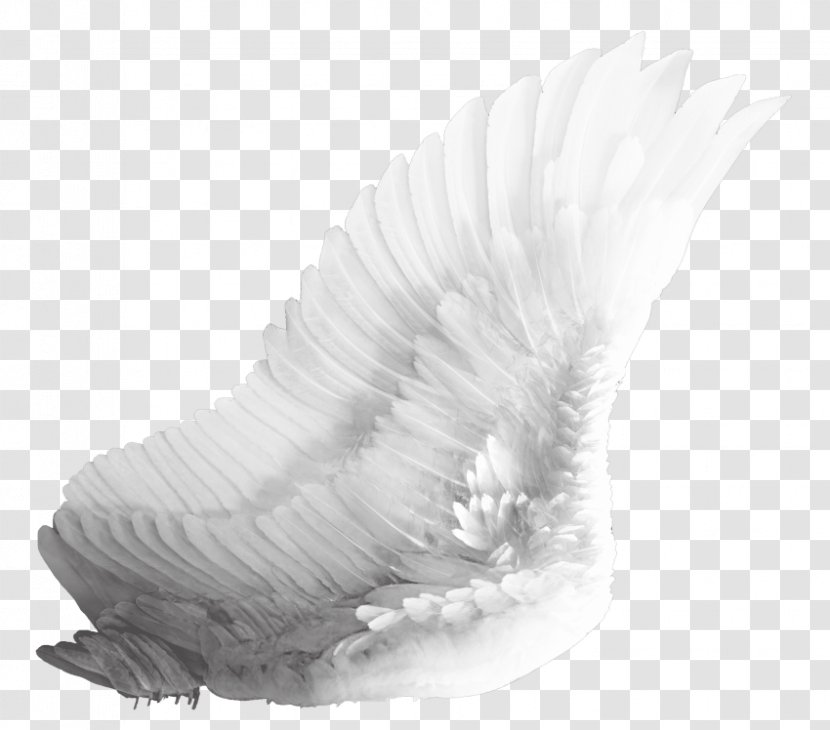 Clip Art Image White Angel Transparency - Painting - Wings Stamp Transparent PNG