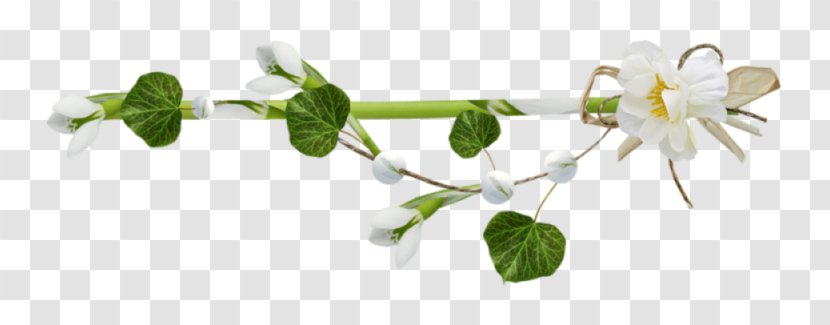 Flower Clip Art - Twig - Flora Transparent PNG