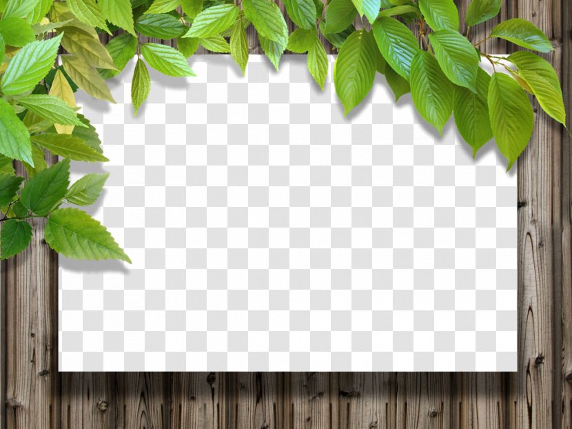 Picture Frame - Twig Transparent PNG