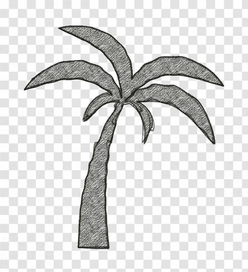 Nature Icon Palm Tree Icon Beach Icon Transparent PNG