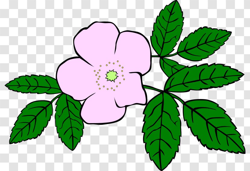 Wildflower Clip Art - Artwork - Flower Transparent PNG