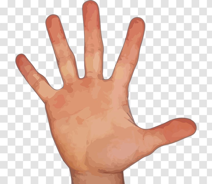 Finger Clip Art - Thumb - Fingers Transparent PNG