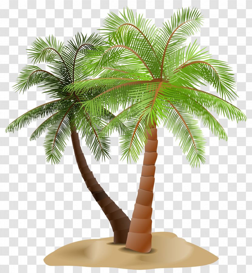 Arecaceae Clip Art - Sand - Palms In Transparent Image Transparent PNG