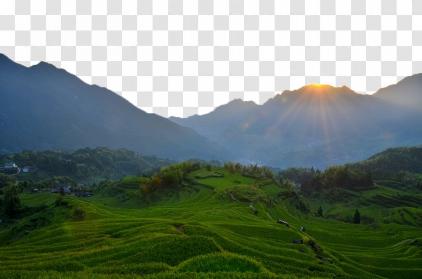 Mount Scenery Download Green - Poster - Sunrise In Paddy Fields Transparent PNG