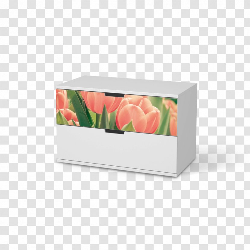 Petal For You Industrial Design Rectangle - Tulip Material Transparent PNG