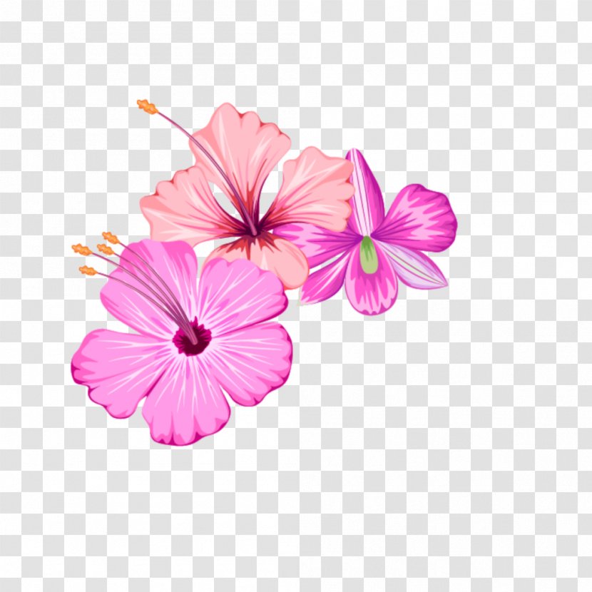 Clip Art Cut Flowers Transparency - Petunia - Flowering Cabbage Pink Flower Transparent PNG