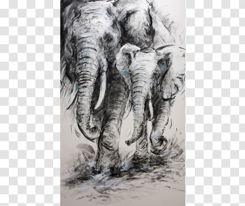 Indian Elephant African Drawing Wildlife Elephantidae - White - India Transparent PNG